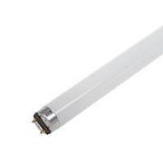 Лампа люм. G13 L36W/640 1200х26 OSRAM